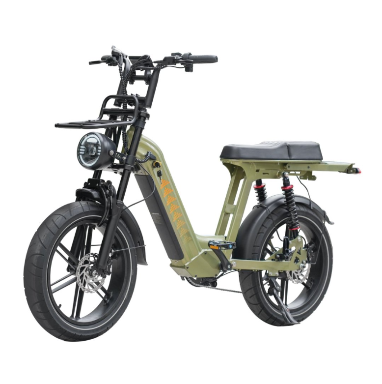 Cruise D50 Ebike 500W 18.2AH view 9