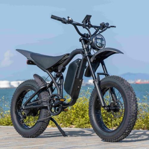 G100 Electric motorcycle/Bicycle view 7
