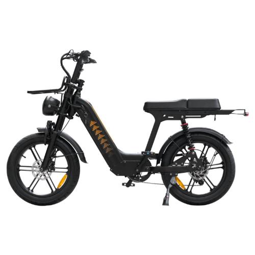 Cruise D50 Ebike 500W 18.2AH view 11