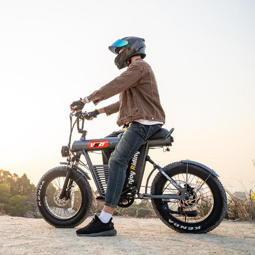 Cruise / V50 Electric bicycle view 4