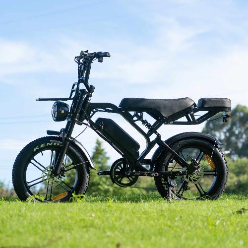 Cruise X3/V20Pro Ebike 500W/750W 18.2 AH view 4