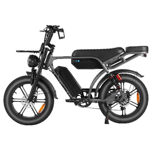 Cruise X29/ V29 MAX dual battery electric bike