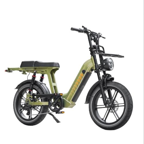 Cruise D50 Ebike 500W 18.2AH view 7