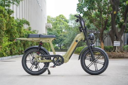 Cruise D50 Ebike 500W 18.2AH view 5