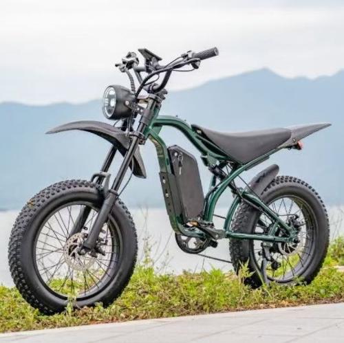 G100 Electric motorcycle/Bicycle view 4