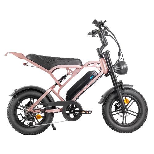 V20 MINI 16inch ebike/250W electric fat bike view 5