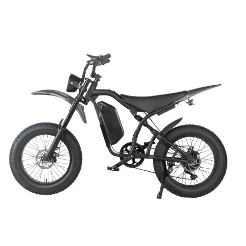 G100 Electric motorcycle/Bicycle