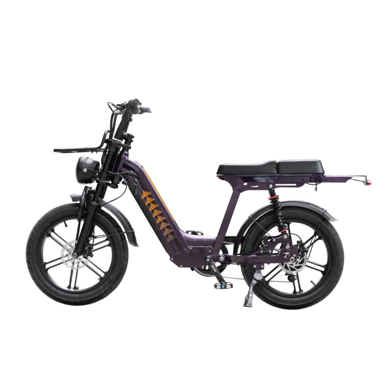 Cruise D50 Ebike 500W 18.2AH view 6