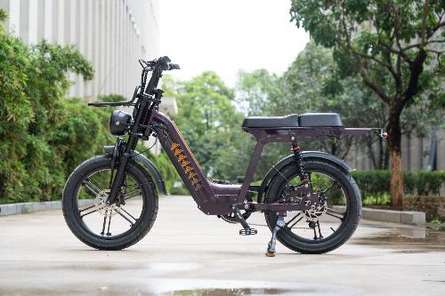 Cruise D50 Ebike 500W 18.2AH view 3
