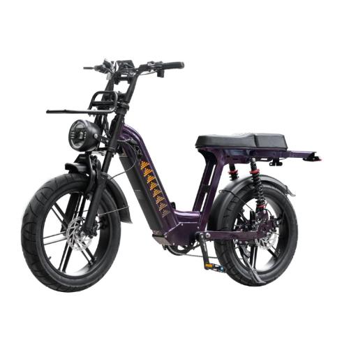 Cruise D50 Ebike 500W 18.2AH