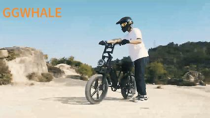 Cruise X29/ V29 MAX dual battery electric bike view 2
