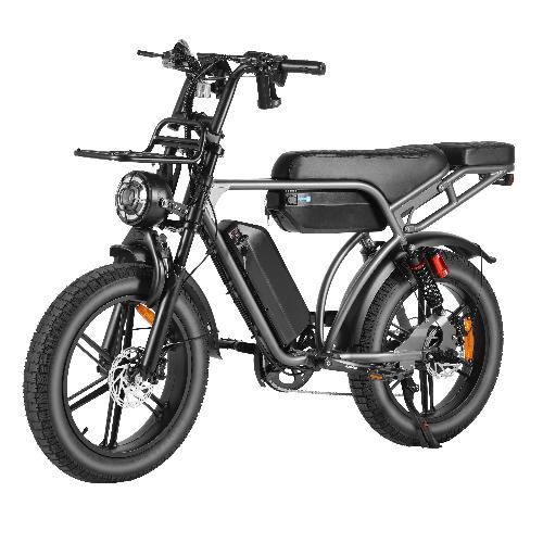 Self pickup in the warehouse Cruise X29/ V29 MAX dual battery