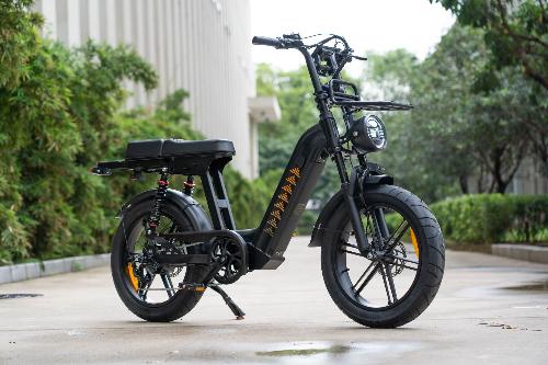 Cruise D50 Ebike 500W 18.2AH view 2