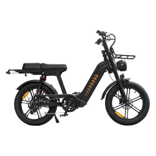 Cruise D50 Ebike 500W 18.2AH view 12