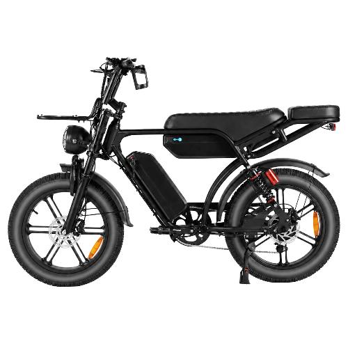 Self pickup in the warehouse Cruise X29/ V29 MAX dual battery view 2