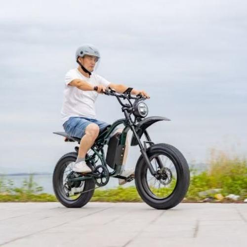 G100 Electric motorcycle/Bicycle view 2