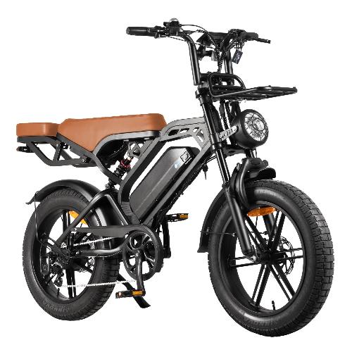 Self pickup in the warehouse V20Pro Ebike 750W 18.2 AH