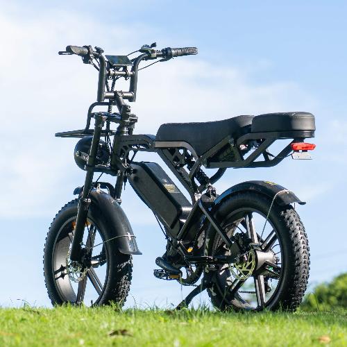 Cruise X3/V20Pro Ebike 500W/750W 18.2 AH view 3