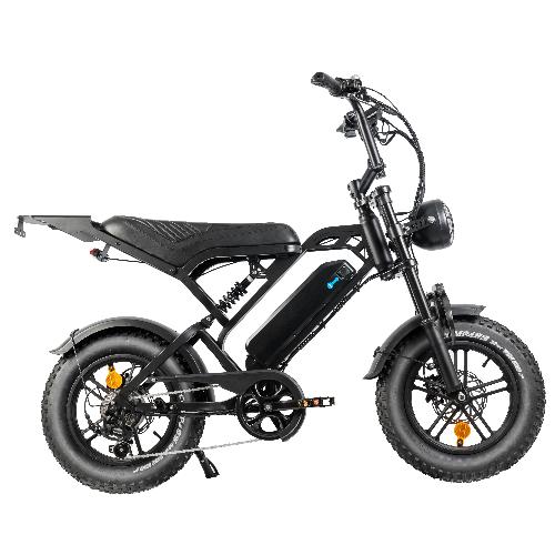 pickup from Sydney warehouse V20 MINI 16inch ebike/250W electric fat bike view 4