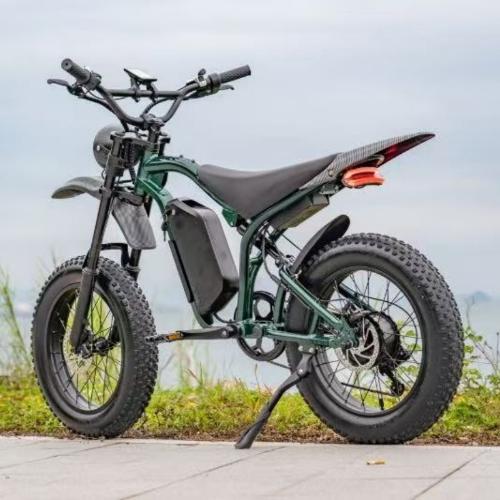 G100 Electric motorcycle/Bicycle view 3