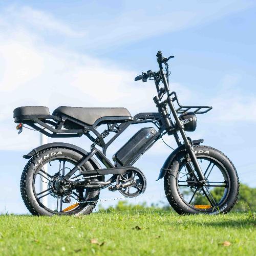 Cruise X3/V20Pro Ebike 500W/750W 18.2 AH view 5