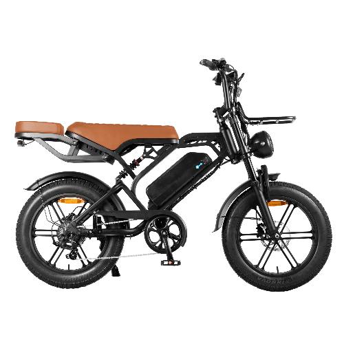 Self pickup in the warehouse V20Pro Ebike 750W 18.2 AH view 8