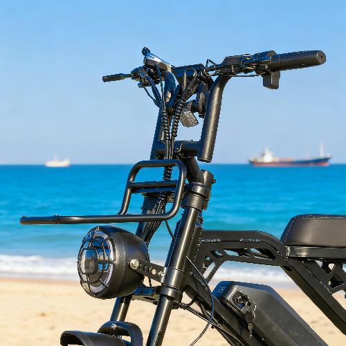 Self pickup in the warehouse Cruise V20Pro Ebike view 6