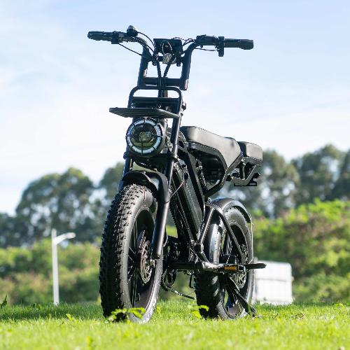 Cruise X3/V20Pro Ebike 500W/750W 18.2 AH view 6