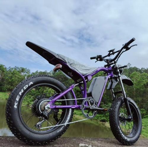 G100 Electric motorcycle/Bicycle view 8