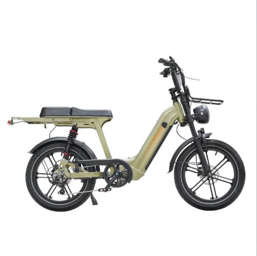 Cruise D50 Ebike 500W 18.2AH view 8