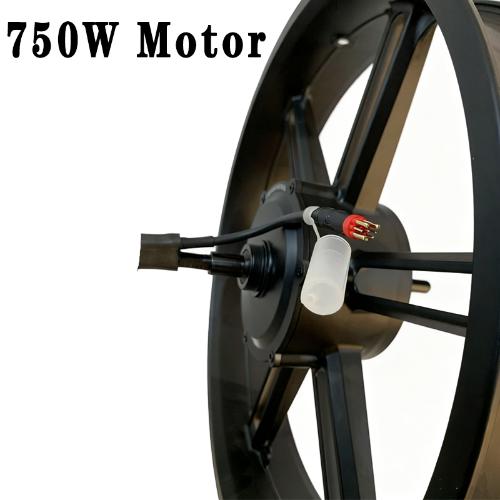 750W Motor wheel hub for ebike S20/V20/V29