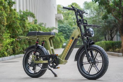 Cruise D50 Ebike 500W 18.2AH view 4
