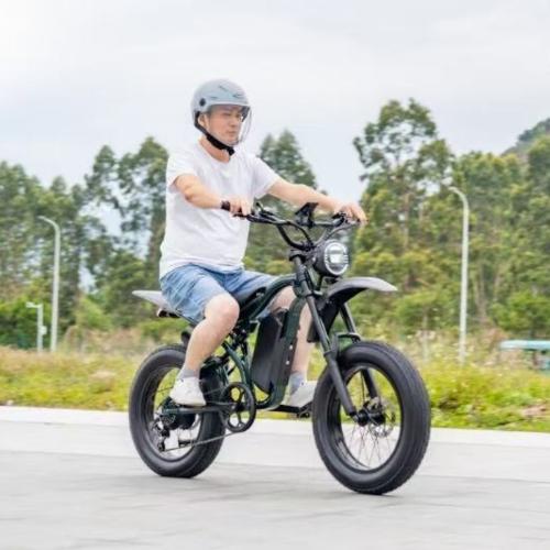 G100 Electric motorcycle/Bicycle view 5