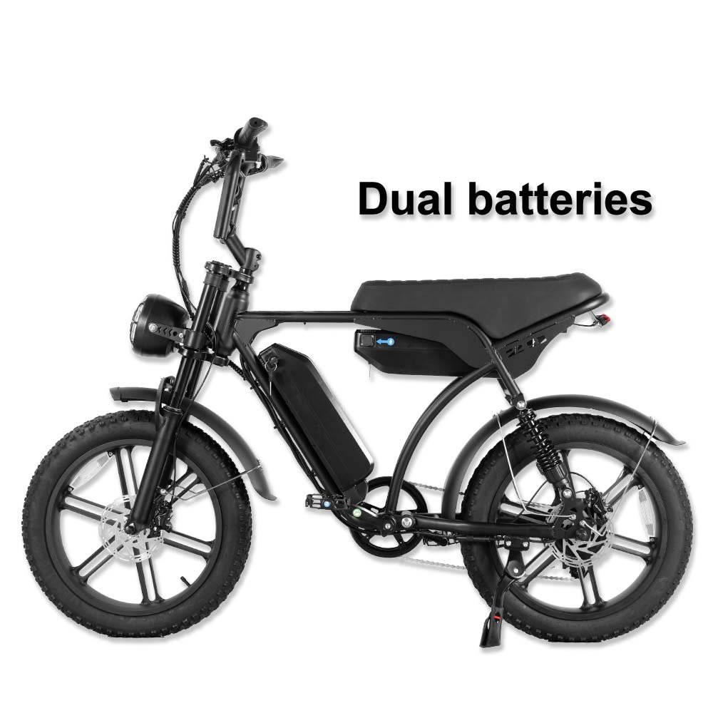 fatbike v20 max Dual batteries